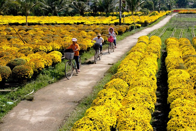 Lac buoc canh tien o nhung lang hoa noi tieng mien Nam