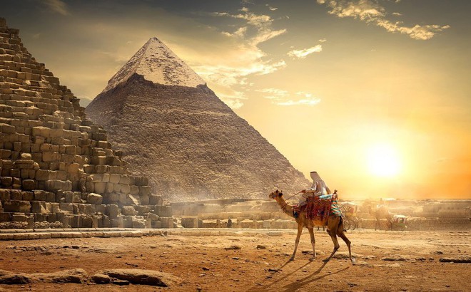 Những khám phá khoa học điên rồ nhất năm 2017