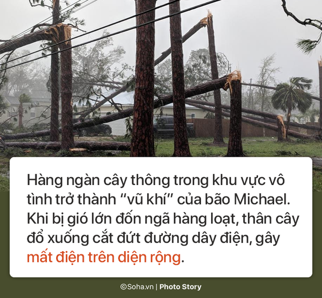 Sức mạnh kinh hoàng của bão Michael và những cảnh không tưởng tượng nổi trên đất liền Mỹ - Ảnh 3.