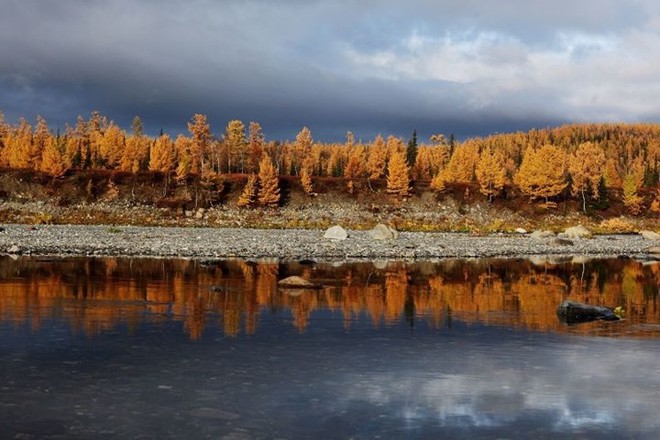 Tháng 10 về, ngắm vẻ đẹp mê ly của mùa thu nước Nga - Ảnh 7.