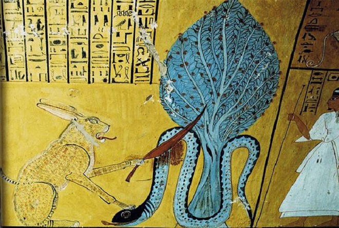 Bí ẩn về loài rắn của nữ hoàng Cleopatra - Ảnh 3.