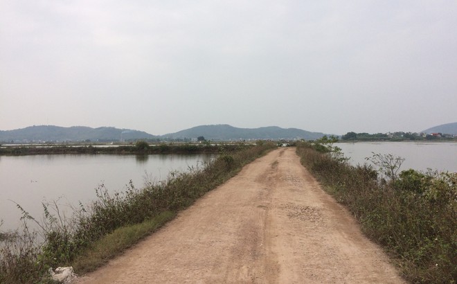 Vá»¥ ngÆ°á»i phá»¥ ná»¯ Äi mua cÃ¡ ná»­a ÄÃªm bá» sÃ¡t háº¡i ngoÃ i Äá»ng: NgÆ°á»i Äi cÃ¹ng nháº­p viá»n cáº¥p cá»©u