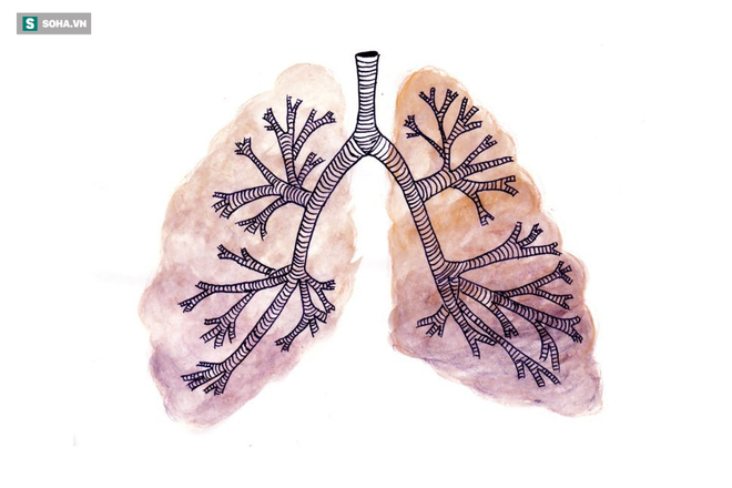 2 cách đơn giản của Đông y để chăm sóc phổi hiệu quả: Ai làm được phổi sẽ khỏe và ít bệnh - Ảnh 1.