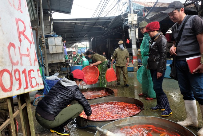 Cá chép cúng ông Táo đỏ chợ trước ngày 23 tháng Chạp - Ảnh 2.