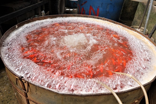 Cá chép cúng ông Táo đỏ chợ trước ngày 23 tháng Chạp - Ảnh 5.