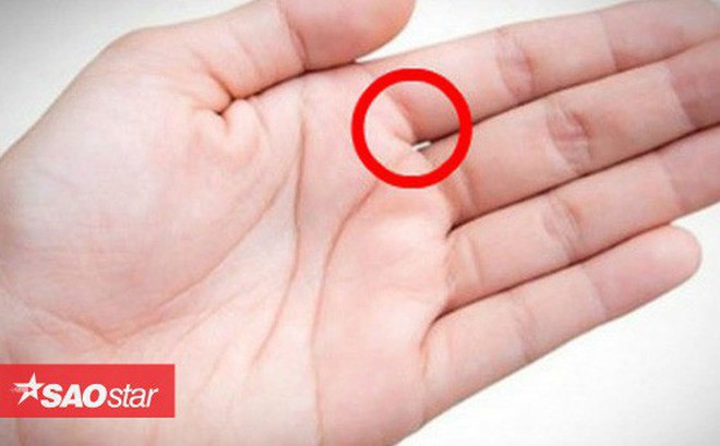 Nhìn kẽ hở bàn tay, biết ngay tương lai giàu sang hay túng thiếu Nhìn kẽ hở bàn tay, biết ngay tương lai giàu sang hay túng thiếu