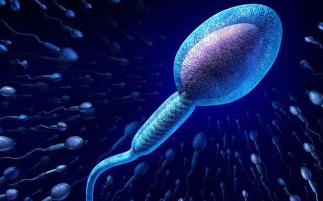 3 nhóm người có chất lượng tinh trùng tốt nhất: Hãy xem có bạn không? 3 nhóm người có chất lượng tinh trùng tốt nhất: Hãy xem có bạn không?
