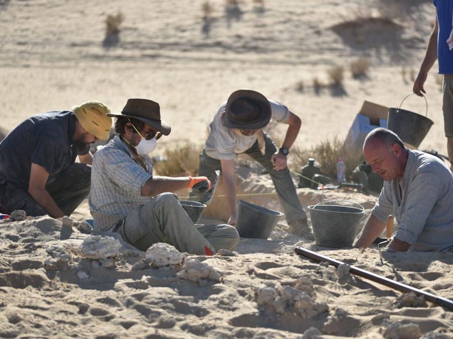 Hóa thạch 85.000 năm tuổi ở Saudi Arabia ẩn chứa bí mật mới của loài người - Ảnh 3.
