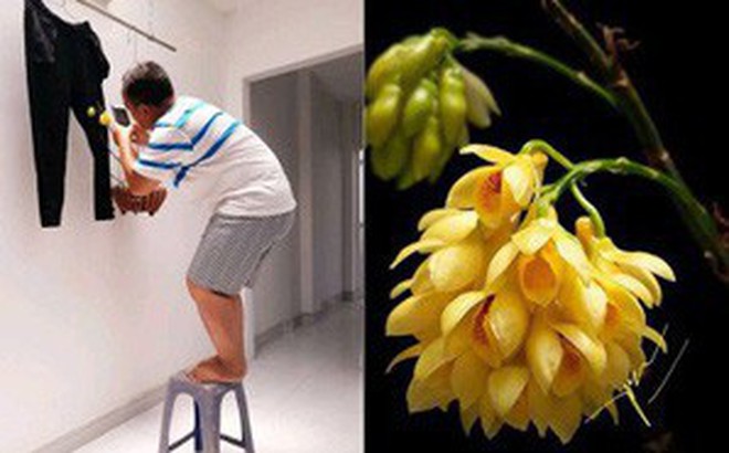 Bức ảnh hoa lan ai nhìn cũng khen, danh tính "phó nháy" và hậu trường chụp ảnh còn thú vị hơn Bức ảnh hoa lan ai nhìn cũng khen, danh tính "phó nháy" và hậu trường chụp ảnh còn thú vị hơn