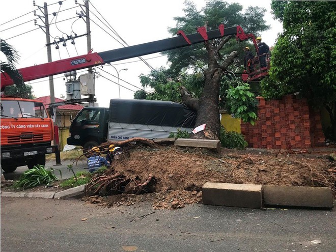 Mưa kèm gió mạnh ở Sài Gòn làm sập mái nhà, cây xanh ngã đè xe tải - Ảnh 3.