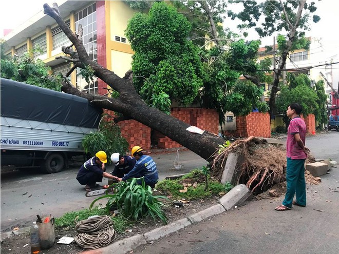 Mưa kèm gió mạnh ở Sài Gòn làm sập mái nhà, cây xanh ngã đè xe tải - Ảnh 2.