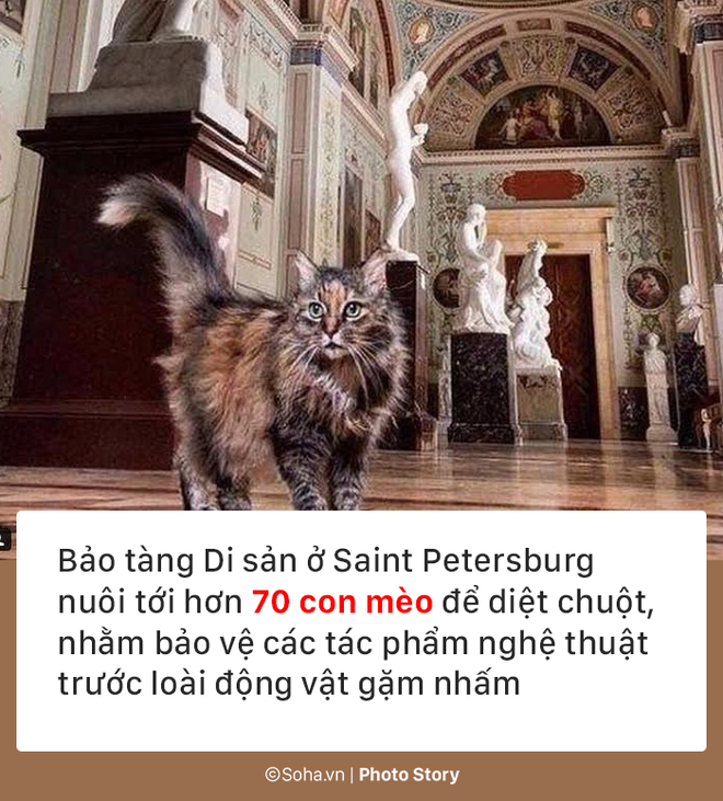 9 điều lạ lùng chỉ nước Nga mới có, điều thứ 3 là gợi ý cho giới nhà giàu ở các nước khác - Ảnh 1. 9 điều lạ lùng chỉ nước Nga mới có, điều thứ 3 là gợi ý cho giới nhà giàu ở các nước khác - Ảnh 1.