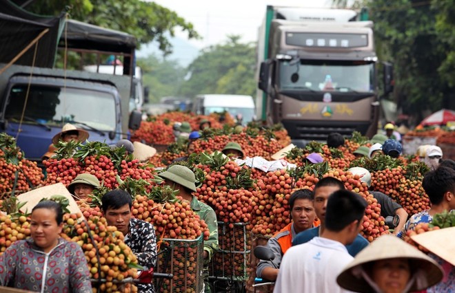 Những điều chưa biết về quy trình đưa hoa quả truyền thống lên các chuyến bay - Ảnh 1.