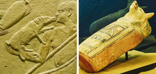 6 điều chúng ta còn chưa biết về con người thời kỳ Ai Cập cổ đại - Ảnh 4.