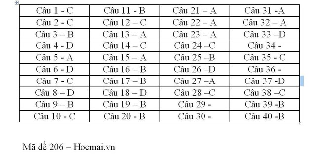 Gợi ý đáp án 24 mã đề thi môn Vật lý kỳ thi THPT Quốc gia 2018 - Ảnh 3.