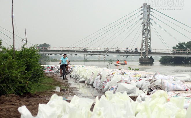 Chủ tịch UBND huyện Chương Mỹ, Hà Nội: Nước bắt đầu rút, đê sông Bùi đã an toàn 1