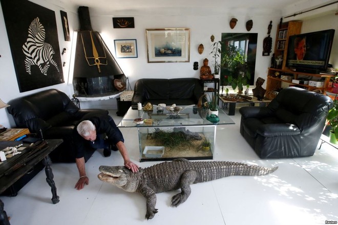 24h qua ảnh: Người đàn ông sống cùng cá sấu và rắn độc trong nhà - Ảnh 3.