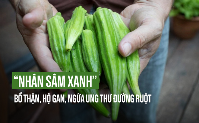 Loại quả phổ biến ở VN được gọi là "nhân sâm xanh" bổ thận hàng đầu, tốt cho gan, dạ dày Loại quả phổ biến ở VN được gọi là "nhân sâm xanh" bổ thận hàng đầu, tốt cho gan, dạ dày