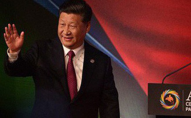 [Image: photo1542697609035-1542697609236-crop-15...338740.jpg]