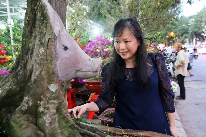 Cận cảnh cây khế đầu heo có giá nửa tỷ đồng được bày bán thu hút người dân Sài Gòn - Ảnh 12.