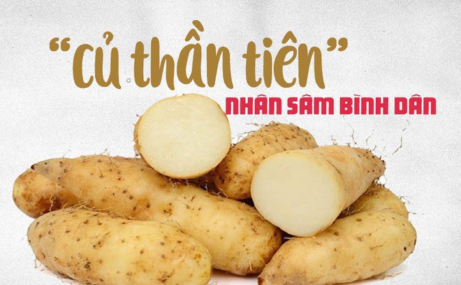 Loáº¡i khoai dÃ¢n dÃ£ ÄÆ°á»£c ÄÃ´ng y gá»i lÃ  "cá»§ tháº§n tiÃªn", "nhÃ¢n sÃ¢m bÃ¬nh dÃ¢n": Tá»t tháº¿ nÃ o?