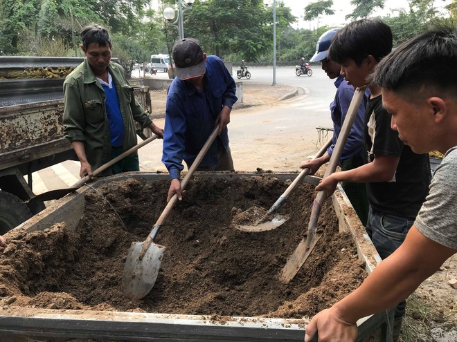 Khách đặt gần hết quất cảnh chơi Tết trước 2 tháng, chủ vườn nói bày ra phố cho vui - Ảnh 2.