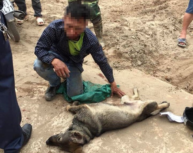 Tên trộm chó bị dân vây bắt, đánh gục trên đường làng ở Hưng Yên - Ảnh 4.
