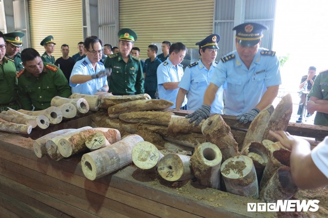 Bắt giữ hơn 9,1 tấn sừng nghi ngà voi ngụy trang tinh vi ở Đà Nẵng - Ảnh 2.