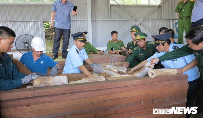 Bắt giữ hơn 9,1 tấn sừng nghi ngà voi ngụy trang tinh vi ở Đà Nẵng - Ảnh 3.