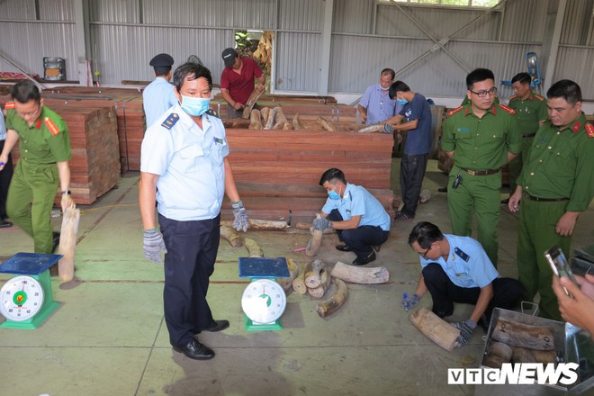Bắt giữ hơn 9,1 tấn sừng nghi ngà voi ngụy trang tinh vi ở Đà Nẵng - Ảnh 4.