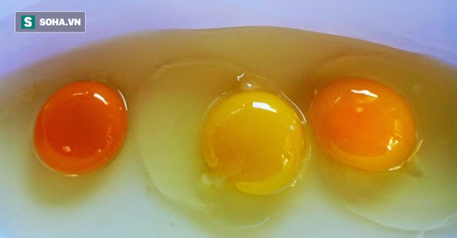 8 điều hiểu lầm khiến nhiều người tưởng trứng không tốt mà kiêng không dám ăn - Ảnh 4.