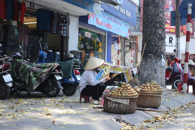 Người Hà Nội chống chọi với nắng nóng như thiêu như đốt đến hơn 40 độ C - Ảnh 6.