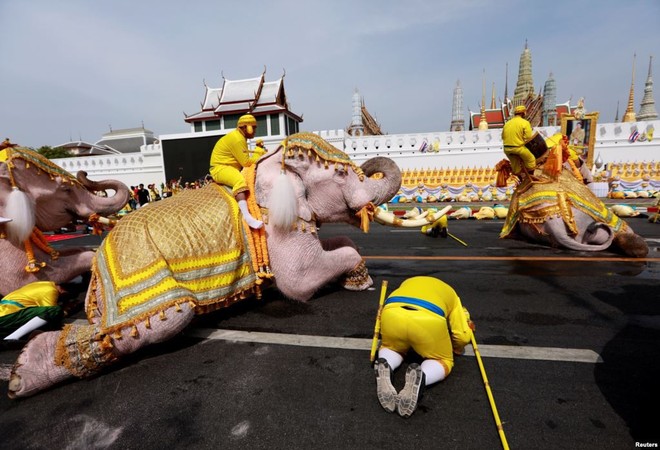 24h qua ảnh: Voi quỳ trước Hoàng cung Thái Lan mừng Quốc vương đăng quang - Ảnh 3.