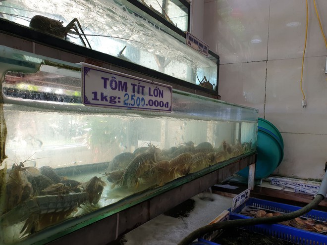Nhà hàng ở Đà Nẵng nói về hóa đơn bữa ăn hải sản có giá 85 triệu đồng: Họ gọi món sang nhất nên đắt - Ảnh 3.