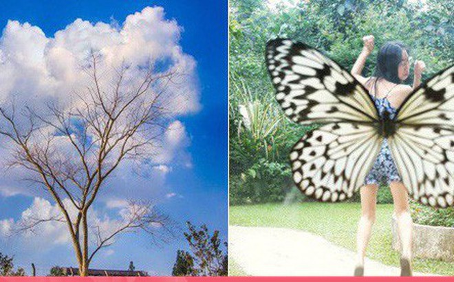 Những bức ảnh gây 'hại mắt, hại não' khiến bạn phải nhìn lại đến lần thứ 2 mới nhận ra chân tướng sự thật Những bức ảnh gây 'hại mắt, hại não' khiến bạn phải nhìn lại đến lần thứ 2 mới nhận ra chân tướng sự thật