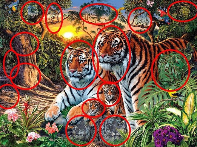 Bí mật trong tranh: Đố bạn, có bao nhiêu con hổ đang ẩn nấp trong bức hình này? - Ảnh 1.