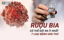 Không chỉ tự làm tổn thương gan, người hay uống bia rượu có nguy cơ mắc 7 loại ung thư Không chỉ tự làm tổn thương gan, người hay uống bia rượu có nguy cơ mắc 7 loại ung thư