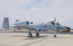 "Bắn hạ" cả F-16 và F-22, chiến tích khó tin của cường kích A-10 "Bắn hạ" cả F-16 và F-22, chiến tích khó tin của cường kích A-10