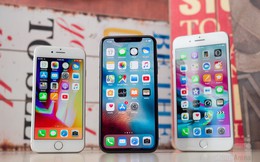 Trước khi iPhone X bán ra, iPhone 8 là điện thoại bán chạy nhất tháng 10