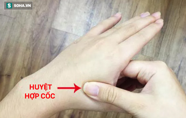 Bí quyết kỳ lạ của GSTS Đông y số 1 Đài Loan: Thì thầm với cây lá, tự nói