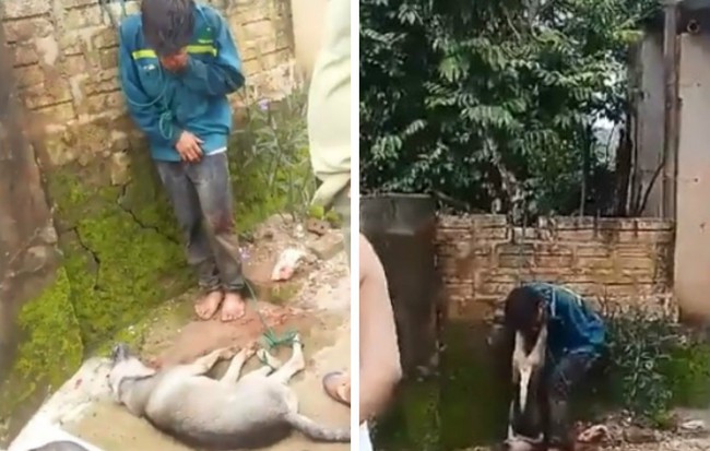 Nam thanh niên trộm chó ở Thanh Hóa bị người dân bắt trói, treo xác chó lên cổ