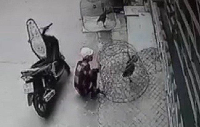 Công an viên ở Bà Rịa - Vũng Tàu hỏng mắt vì bị kẻ trộm gà dùng ná thun bắn