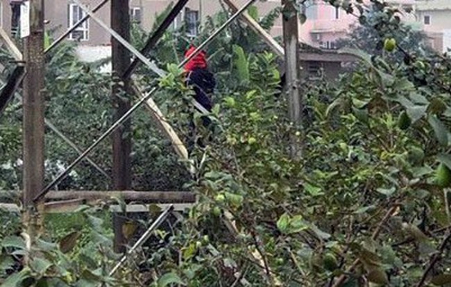 Hà Nội: Phát hiện thi thể nam thanh niên treo cổ trên cột điện, hai tay bị trói chặt