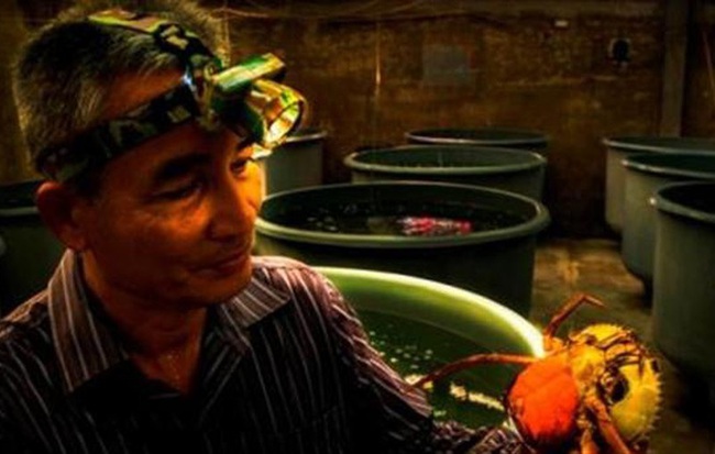 Đại gia cửa biển Sông Đốc lần đầu lên tiếng sau vụ biệt thự hàng chục tỉ đồng nghi bị đạn bắn lúc giữa trưa
