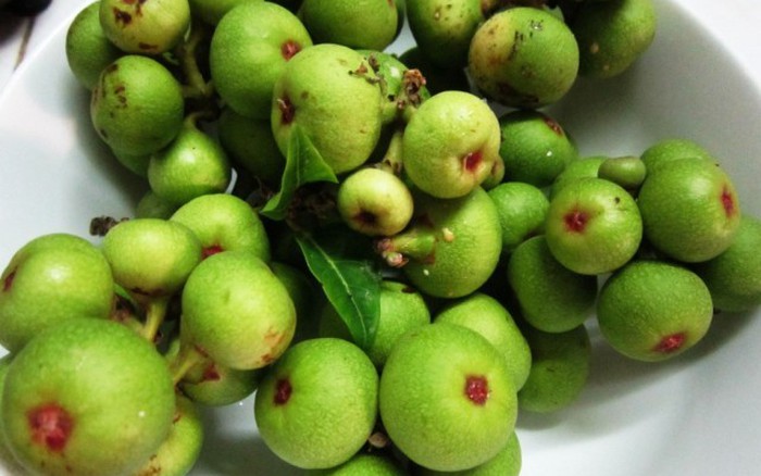 Ngăn ngừa nhiều bệnh ung thư là một trong những câu hỏi trả lời cho câu hỏi ăn sung có tác dụng gì
