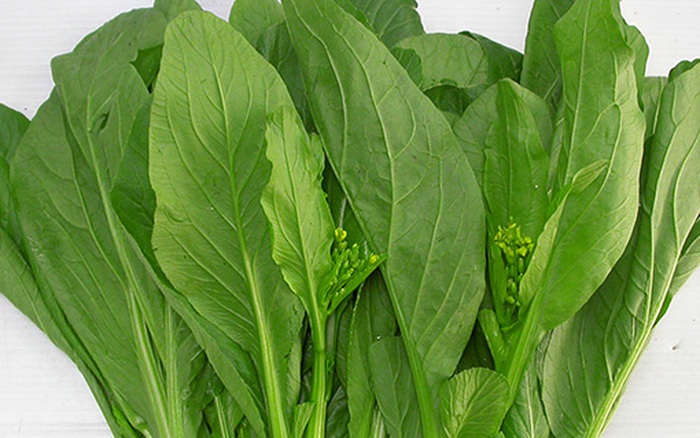 Image result for rau cải