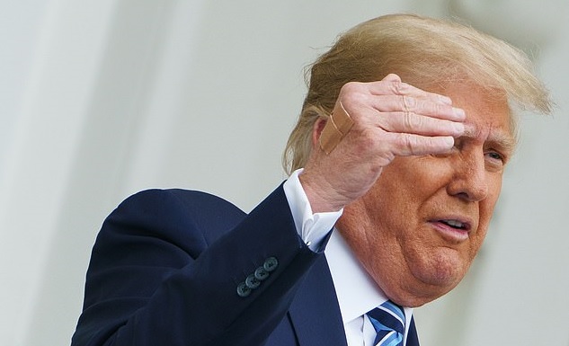Bức ảnh tiết lộ dấu hiệu lạ trên bàn tay ông Trump - Ảnh 1.