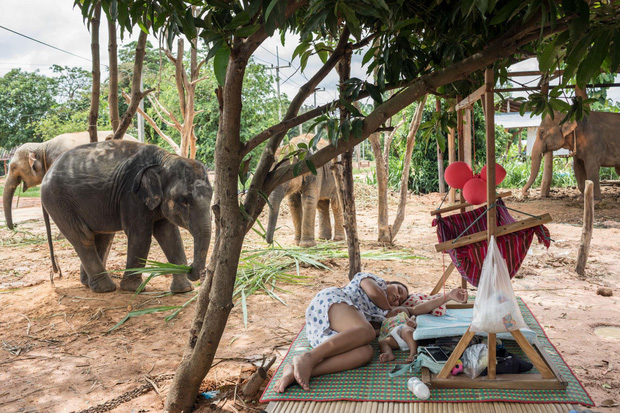 Thực tại tăm tối phía sau ngành du lịch thiên nhiên hoang dã: Những nỗi đau không cất nên lời - Ảnh 20.