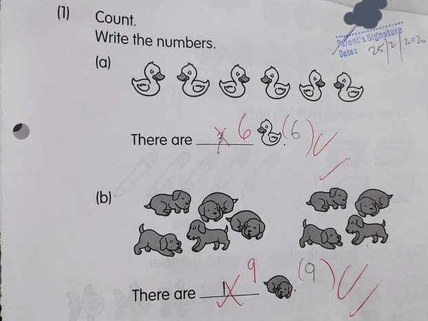 Bài toán lớp 1 đếm số vịt và chó, 99% phụ huynh và giáo viên đều thấy học sinh trả lời sai - Ảnh 1.