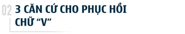  Chuyên gia Kinh tế trưởng ADB: Phục hồi kinh tế Việt Nam vào năm 2021 sẽ theo hình chữ V và có khả năng sẽ rất mạnh  - Ảnh 3.